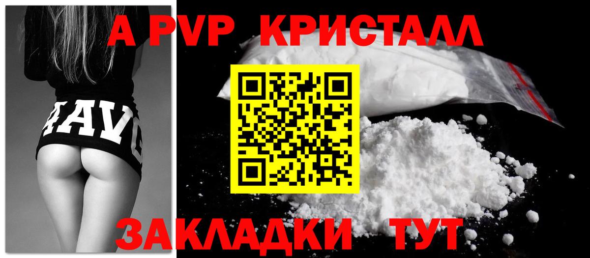 Альфа ПВП СК Волхов