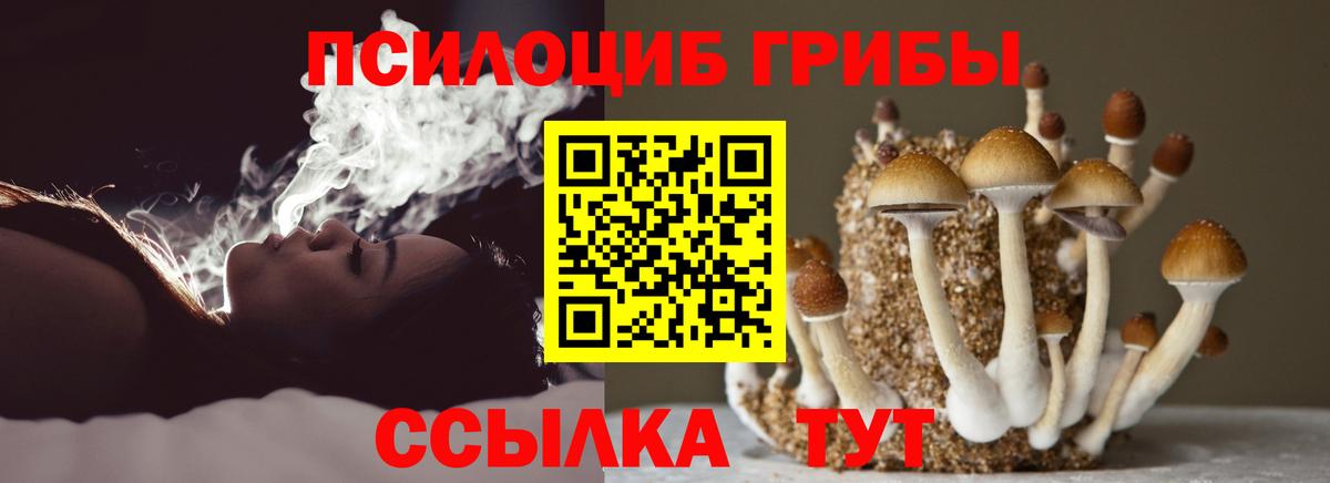 Псилоцибиновые грибы Psilocybe  Галлюциногенные грибы Psilocybine cubensis  Волхов  Вход с VPN 